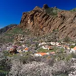 Casa Cueva El Pedregal *