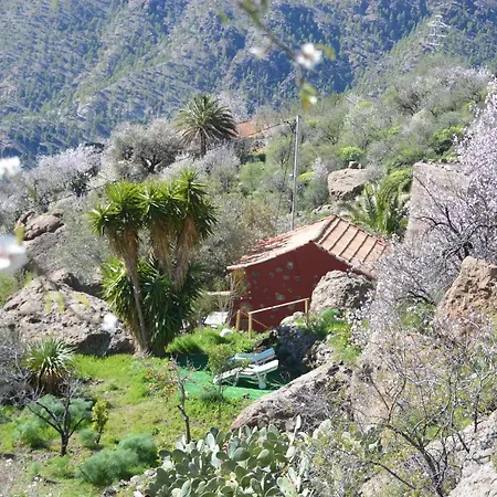 Casa Cueva El Pedregal * تيخيدا