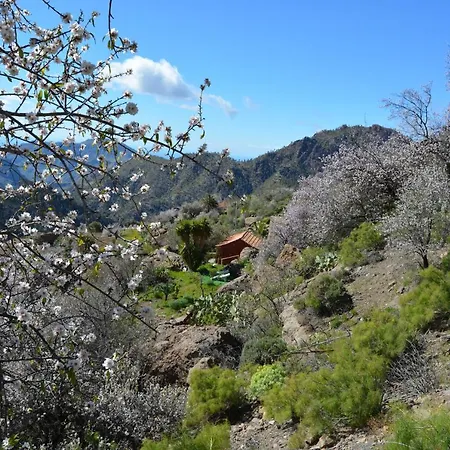 بيت للعطل Casa Cueva El Pedregal *