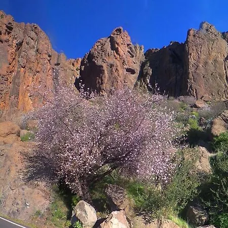 Casa Cueva El Pedregal تيخيدا
